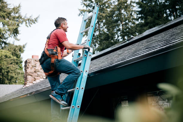 Best Chimney Flashing Repair  in Waterloo, IN